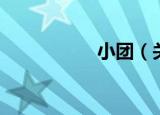 小团（关于小团介绍）