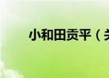 小和田贡平（关于小和田贡平介绍）