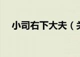 小司右下大夫（关于小司右下大夫介绍）
