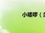 小喽啰（关于小喽啰介绍）