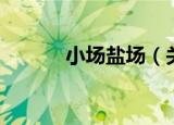 小场盐场（关于小场盐场介绍）