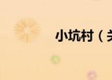 小坑村（关于小坑村介绍）