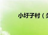 小圩子村（关于小圩子村介绍）