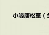 小喙唐松草（关于小喙唐松草介绍）