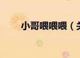 小哥喂喂喂（关于小哥喂喂喂介绍）
