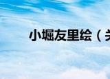 小堀友里绘（关于小堀友里绘介绍）