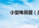 小型电容器（关于小型电容器介绍）
