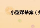 小型谋杀案（关于小型谋杀案介绍）