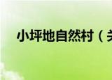 小坪地自然村（关于小坪地自然村介绍）