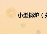 小型锅炉（关于小型锅炉介绍）