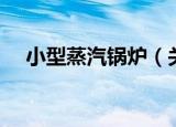 小型蒸汽锅炉（关于小型蒸汽锅炉介绍）