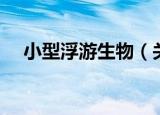 小型浮游生物（关于小型浮游生物介绍）