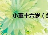 小堇十六岁（关于小堇十六岁介绍）