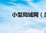 小型局域网（关于小型局域网介绍）