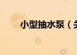 小型抽水泵（关于小型抽水泵介绍）