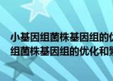 小基因组菌株基因组的优化和繁殖速度的提高（关于小基因组菌株基因组的优化和繁殖速度的提高介绍）