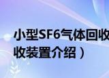 小型SF6气体回收装置（关于小型SF6气体回收装置介绍）