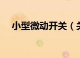 小型微动开关（关于小型微动开关介绍）