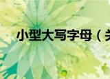 小型大写字母（关于小型大写字母介绍）