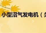 小型沼气发电机（关于小型沼气发电机介绍）
