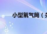 小型氧气筒（关于小型氧气筒介绍）