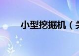 小型挖掘机（关于小型挖掘机介绍）