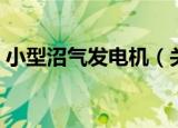 小型沼气发电机（关于小型沼气发电机介绍）