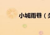 小城雨巷（关于小城雨巷介绍）