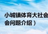 小城镇体育大社会问题（关于小城镇体育大社会问题介绍）