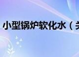 小型锅炉软化水（关于小型锅炉软化水介绍）