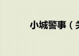 小城警事（关于小城警事介绍）