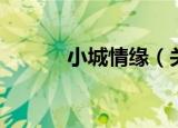 小城情缘（关于小城情缘介绍）