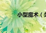 小型魔术（关于小型魔术介绍）
