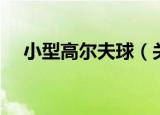 小型高尔夫球（关于小型高尔夫球介绍）