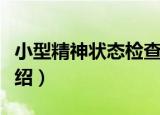小型精神状态检查（关于小型精神状态检查介绍）