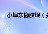 小埠东橡胶坝（关于小埠东橡胶坝介绍）
