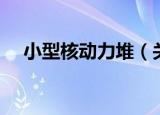 小型核动力堆（关于小型核动力堆介绍）