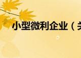小型微利企业（关于小型微利企业介绍）