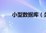 小型数据库（关于小型数据库介绍）