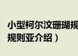 小型柯尔汶珊瑚规则亚（关于小型柯尔汶珊瑚规则亚介绍）