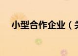 小型合作企业（关于小型合作企业介绍）