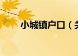 小城镇户口（关于小城镇户口介绍）
