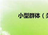 小型群体（关于小型群体介绍）
