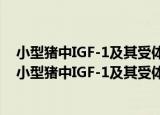 小型猪中IGF-1及其受体表达特征及作用机制的研究（关于小型猪中IGF-1及其受体表达特征及作用机制的研究介绍）