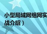 小型局域网组网实战（关于小型局域网组网实战介绍）