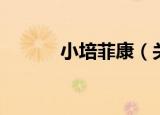 小培菲康（关于小培菲康介绍）