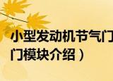 小型发动机节气门模块（关于小型发动机节气门模块介绍）