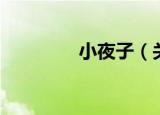 小夜子（关于小夜子介绍）