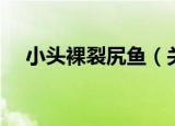 小头裸裂尻鱼（关于小头裸裂尻鱼介绍）