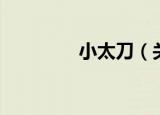 小太刀（关于小太刀介绍）